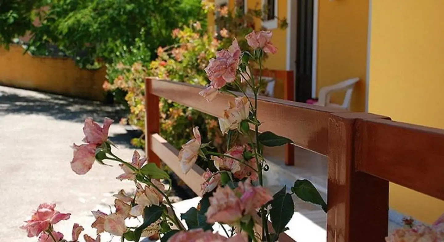 Maria Apartments - Studios Tiere