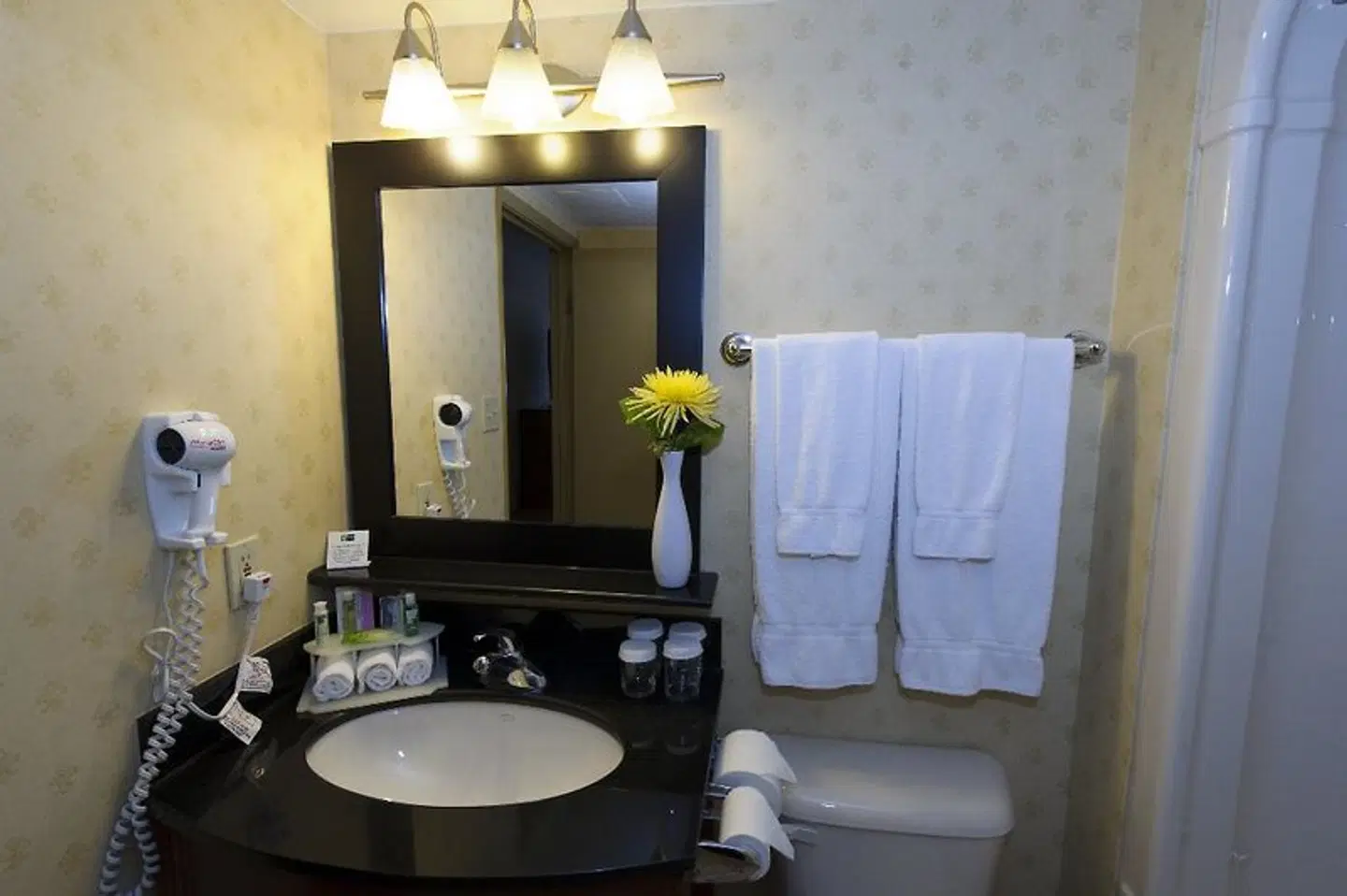 Sandman Hotel & Suites London Downtown Badezimmer