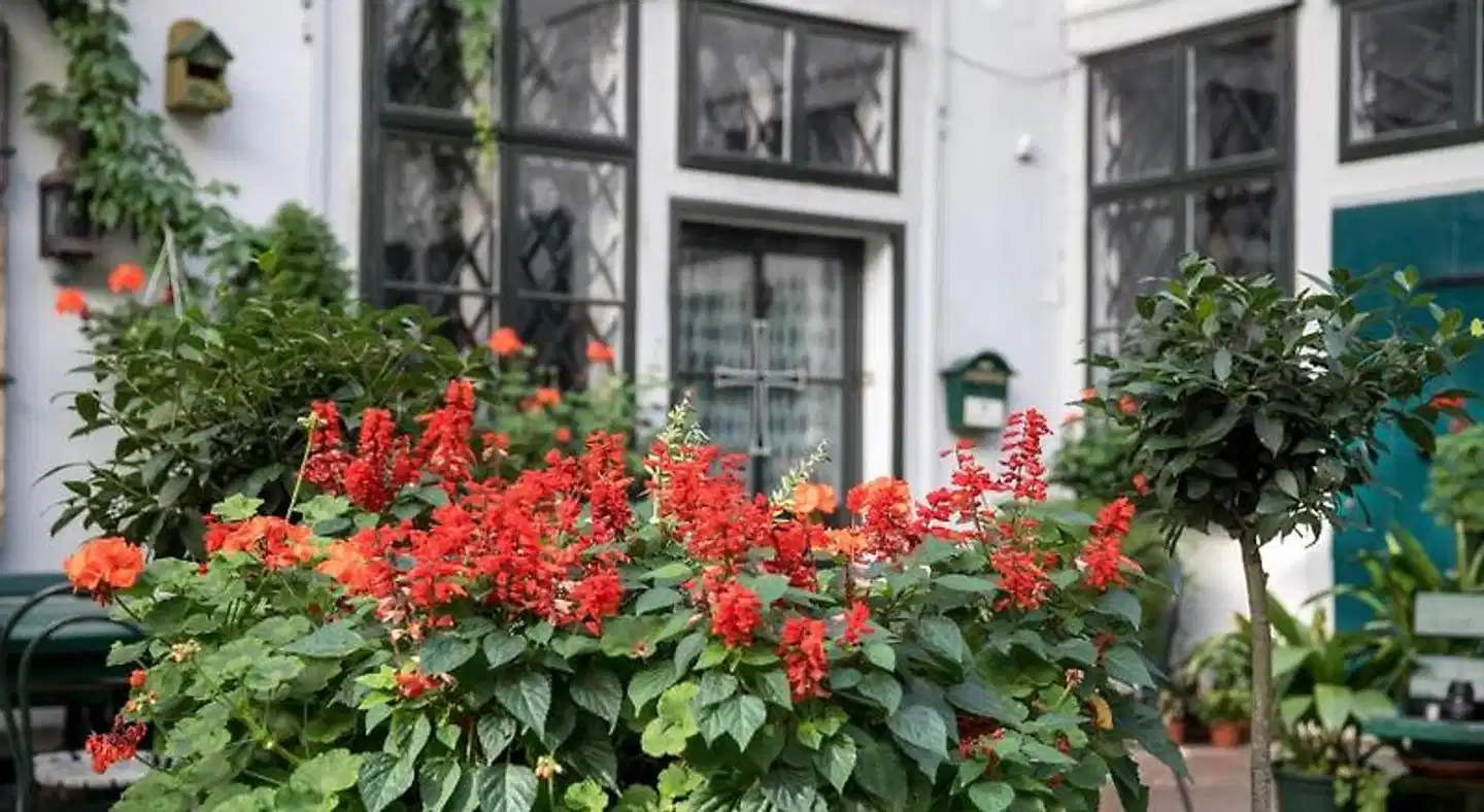 Gastehaus Deutscher Orden Wien Aussenansicht