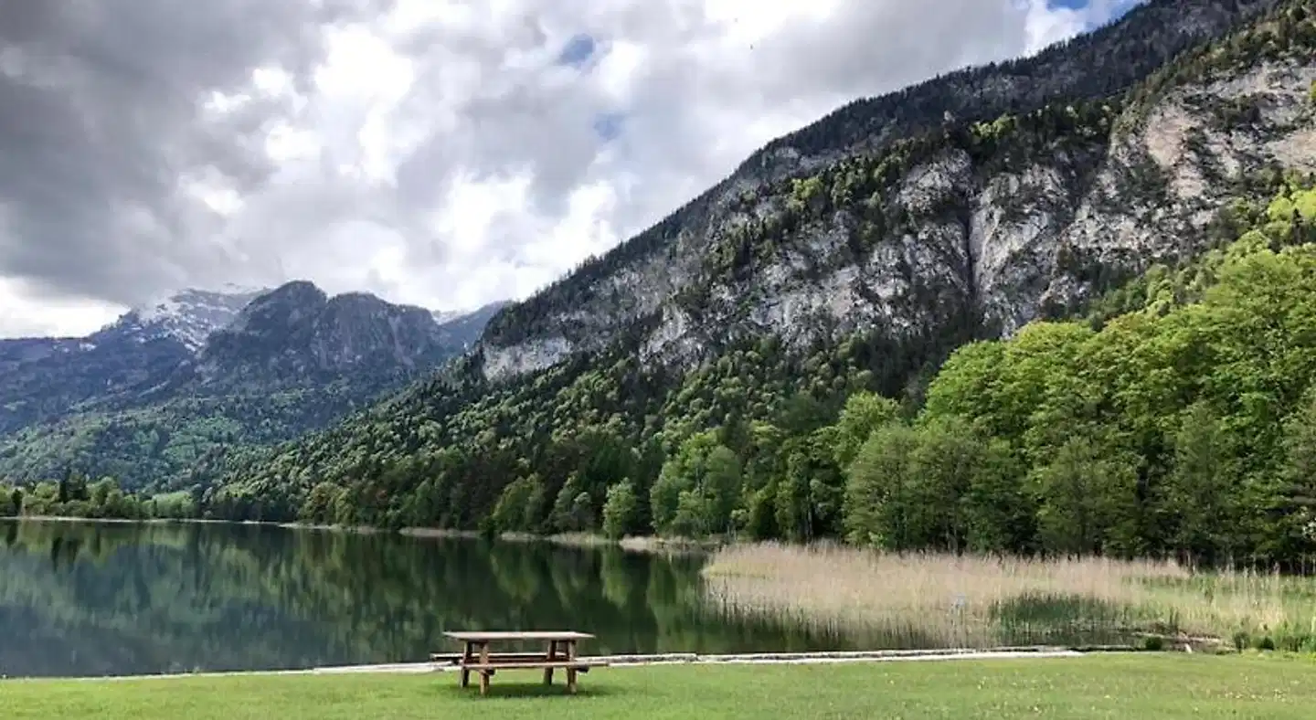 Haflingerhof Landschaft