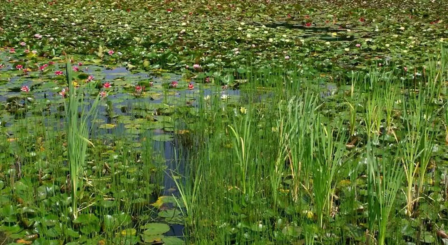 TraumzeitHof LANDSCAPE