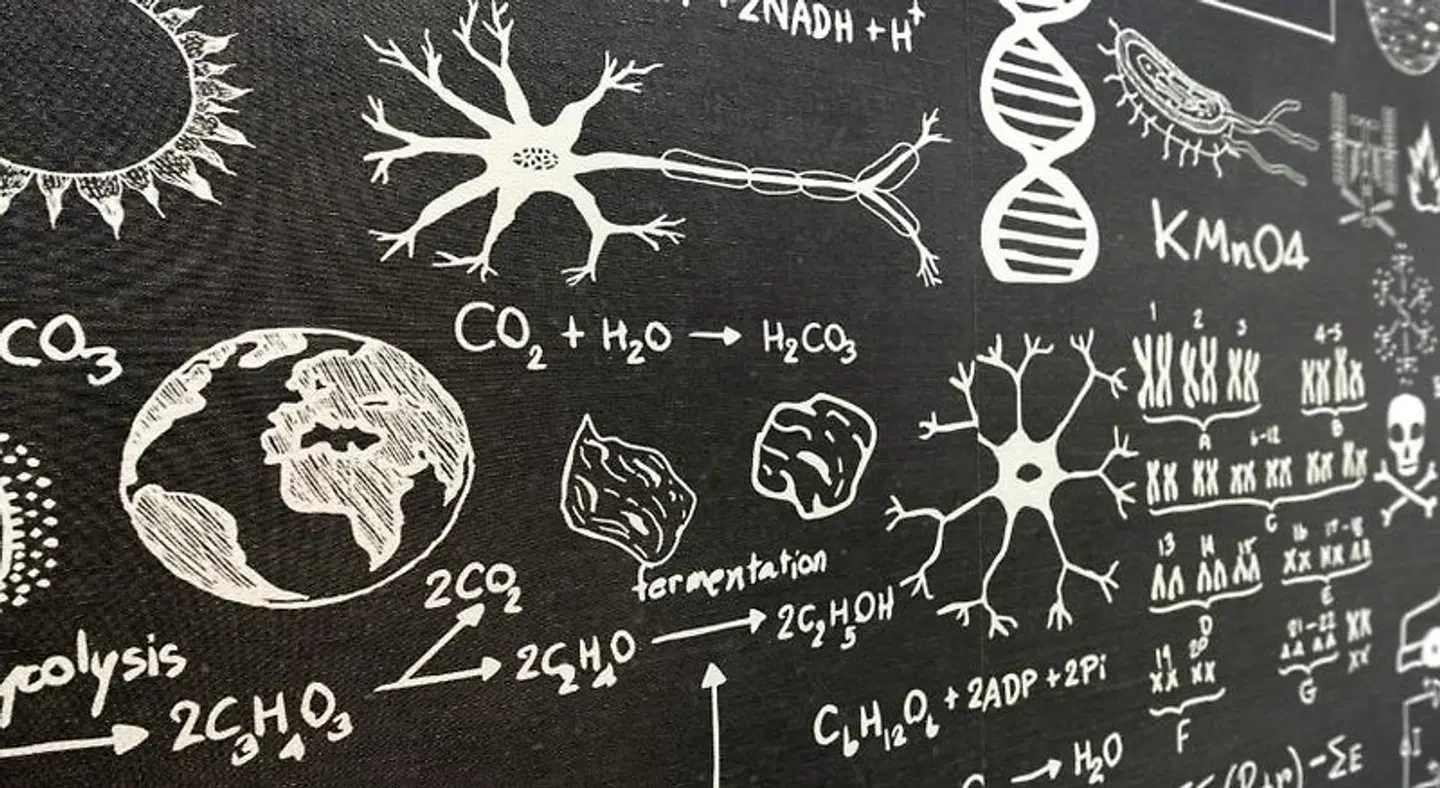 Würzburger Hof Landkarte