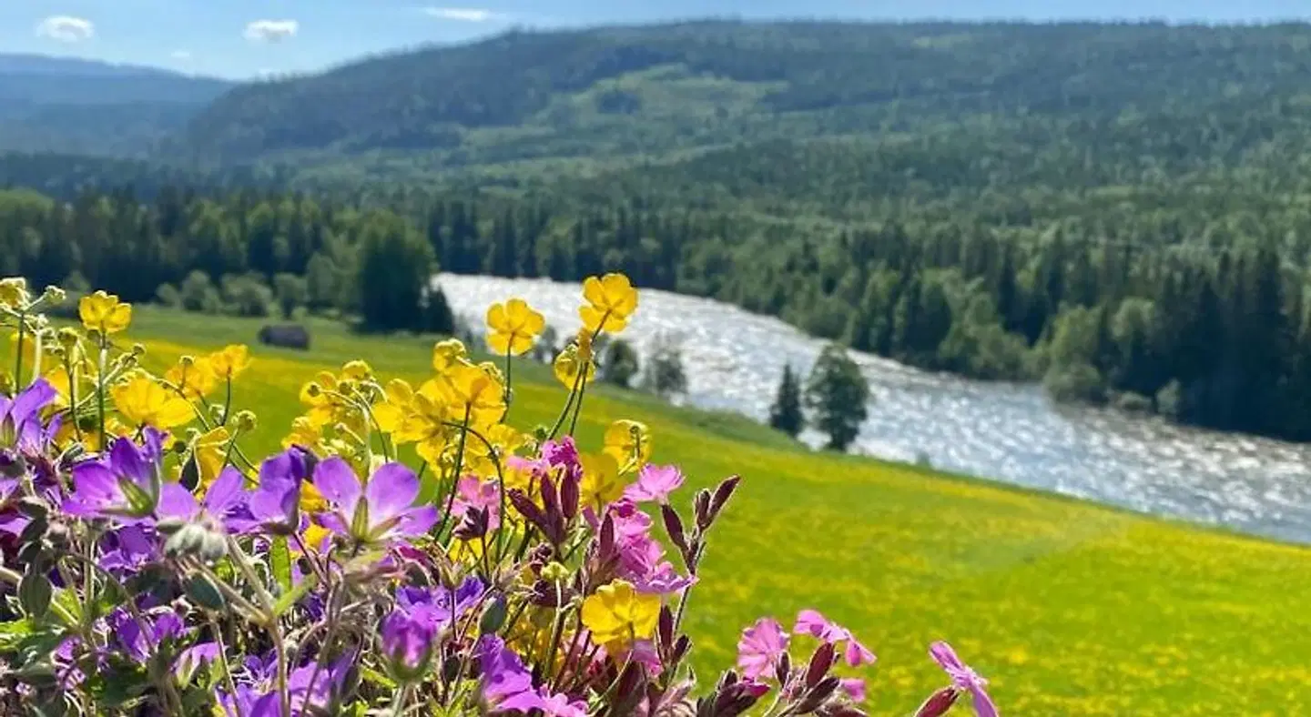 Millestgården Åre LANDSCAPE