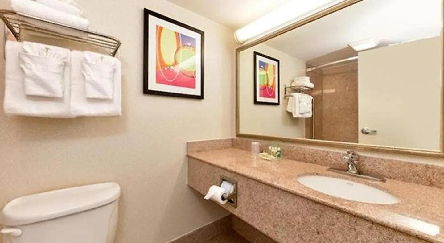 Holiday Inn VA Beach-Oceanside 21st Street Badezimmer