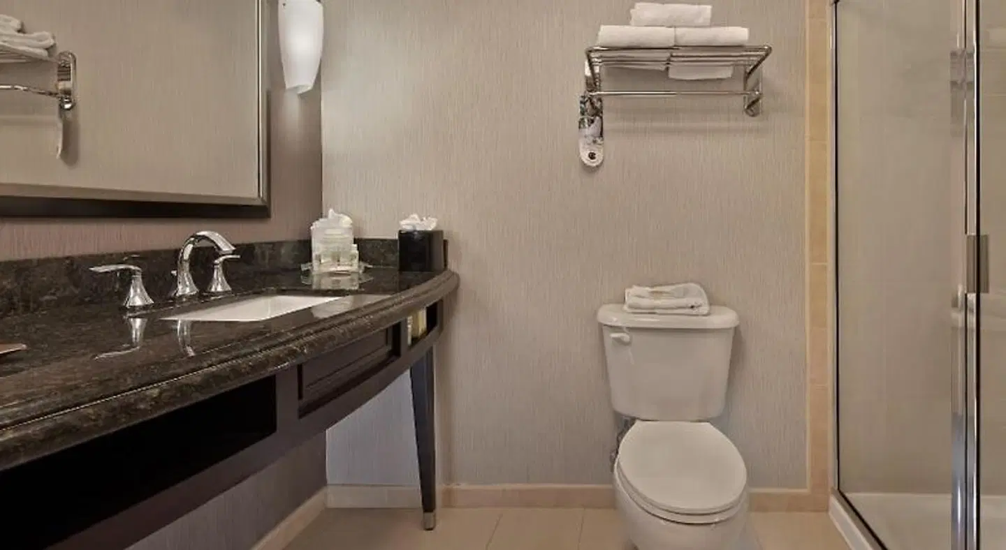 Holiday Inn Jacksonville E 295 Baymeadows by IHG Badezimmer