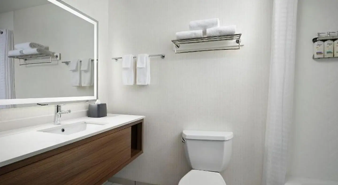 Holiday Inn Meridian E - I-20 / I-59 by IHG Badezimmer