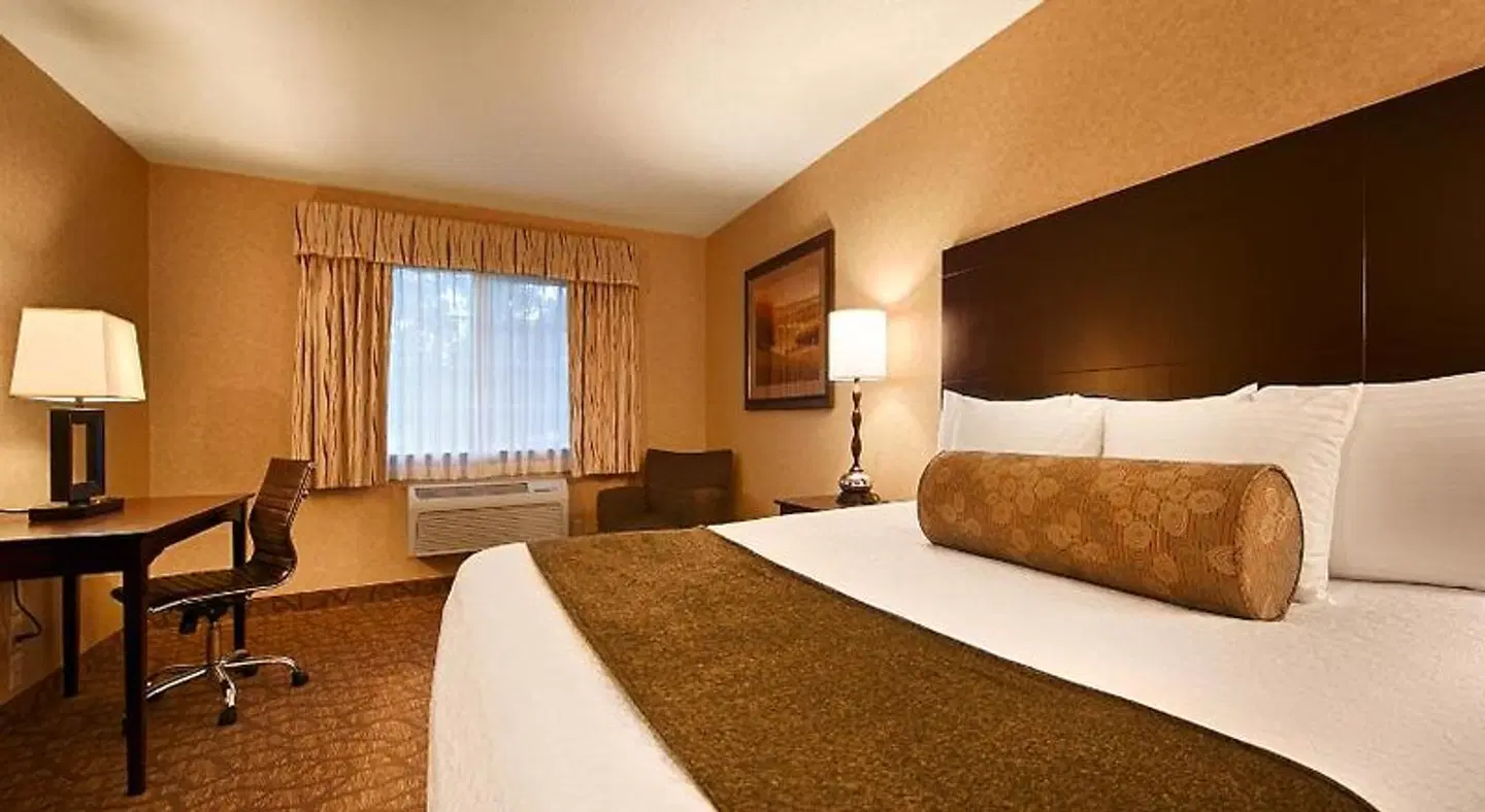 Best Western University Inn and Suites ROOM_EXAMPLE