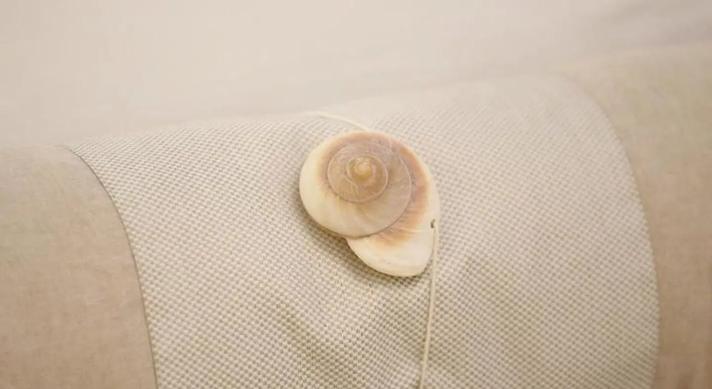 Benois HEALTH_BEAUTY