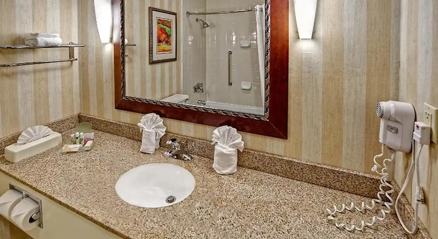 Holiday Inn Asheville - Biltmore West Badezimmer