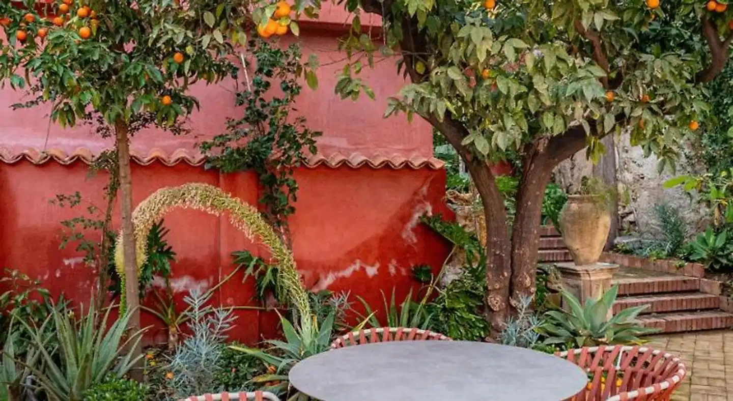 Metropole Hotel Terrasse