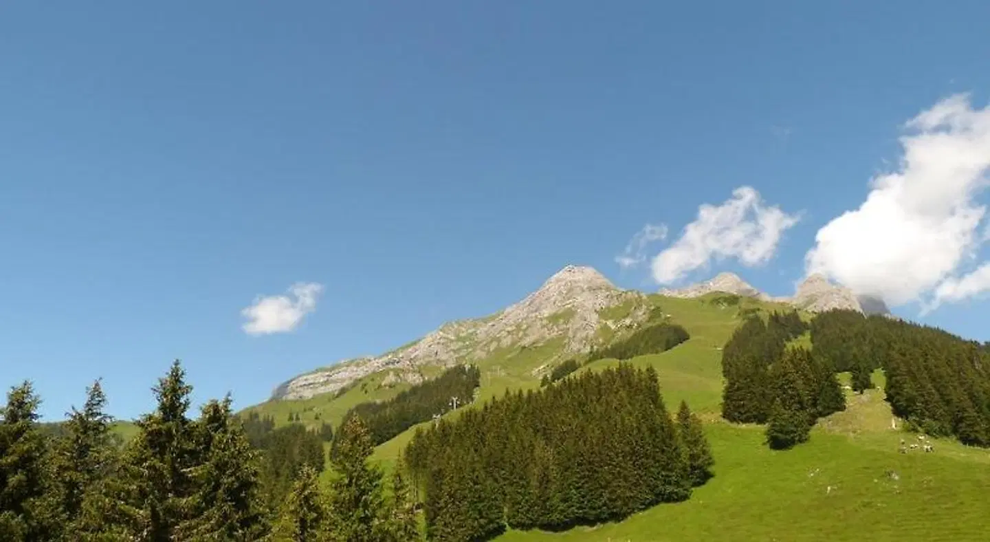 Berglodge Ristis LANDSCAPE