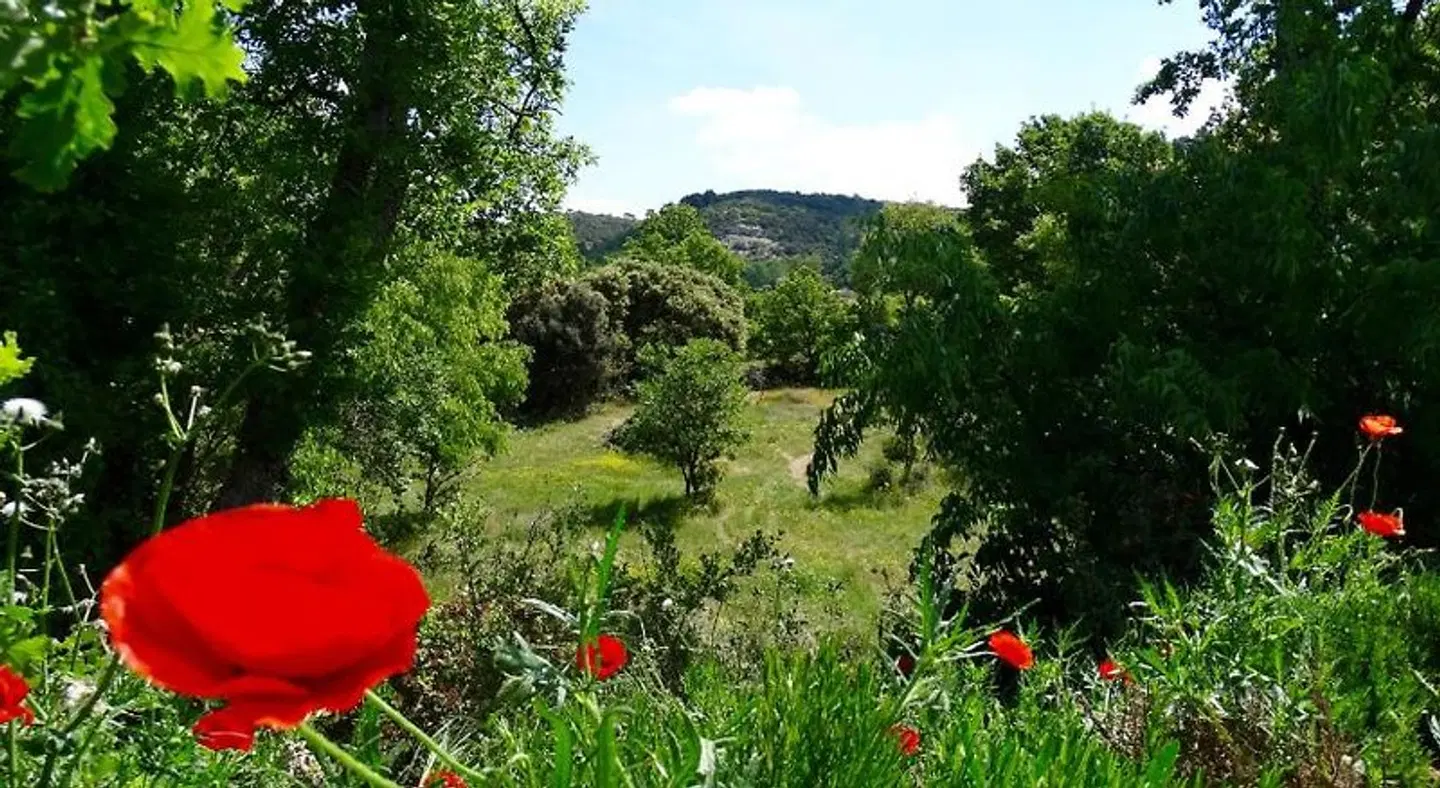 Une Sieste en Luberon LANDSCAPE