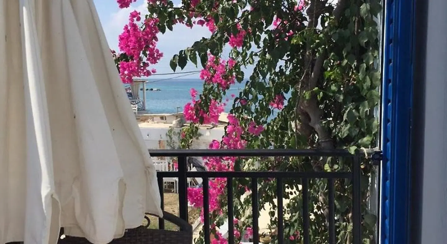 Artemis Hotel EXTERIOR