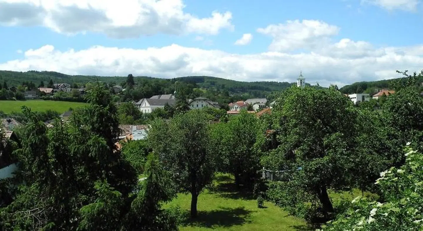Rosner LANDSCAPE
