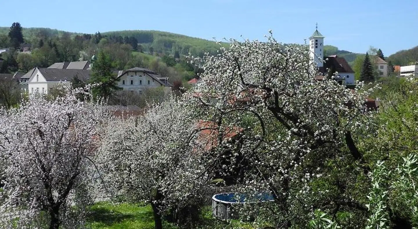 Rosner LANDSCAPE