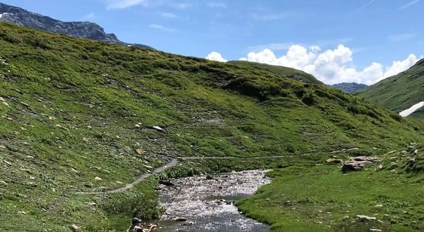 Edelweiss Landschaft