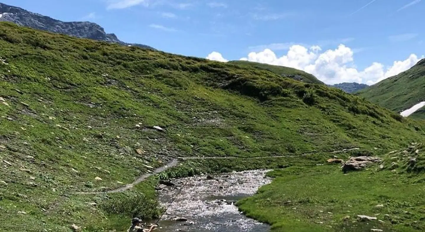 Edelweiss LANDSCAPE