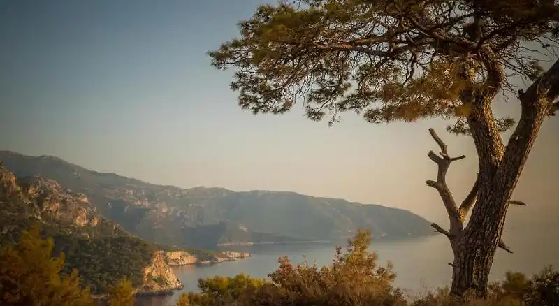 Kabak Avalon Bungalows – Hotelfoto