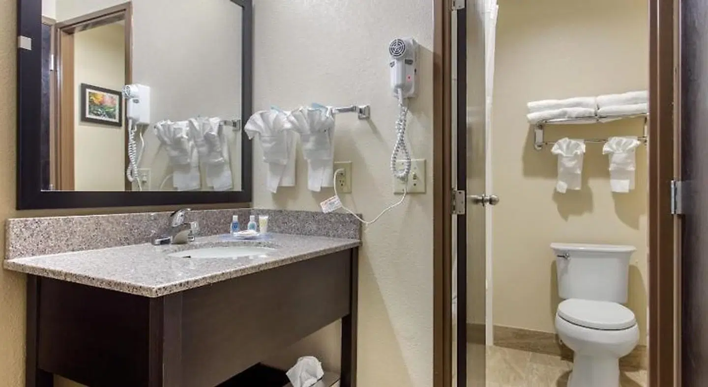 Comfort Inn Asheville-Tunnel Road East Badezimmer