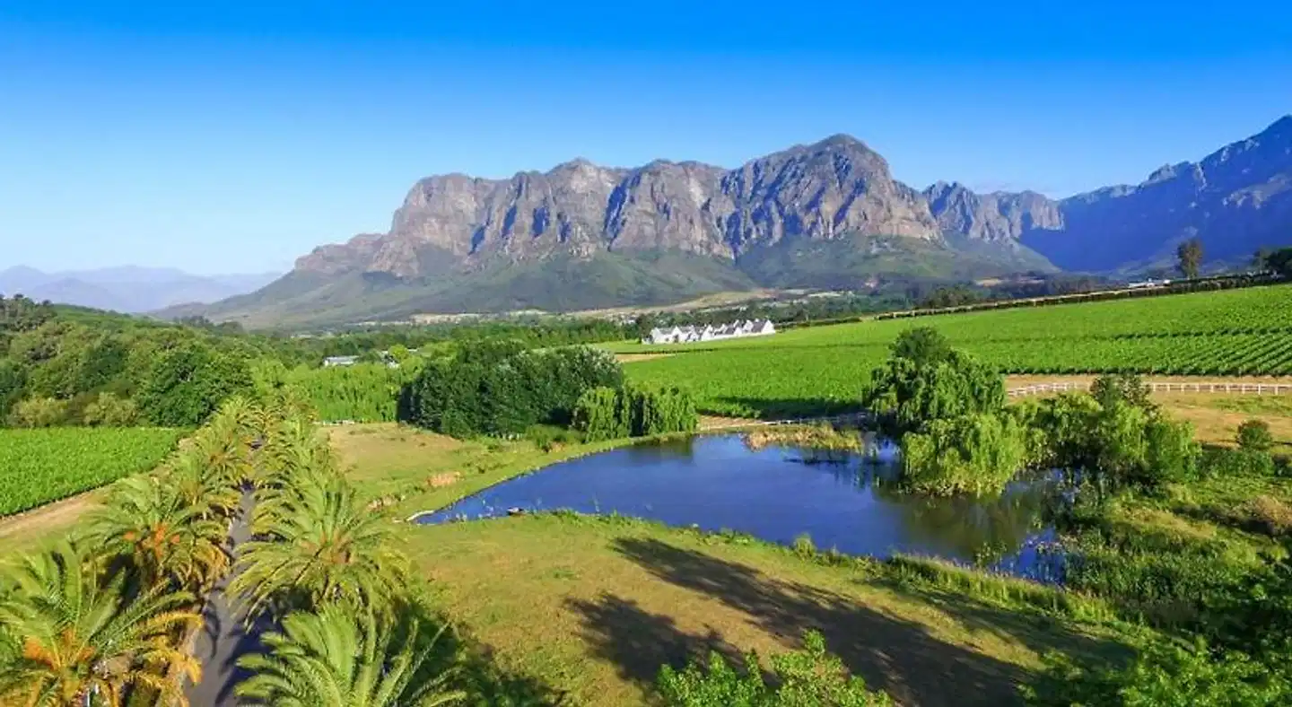 Zorgvliet Wines Country Lodge Landschaft