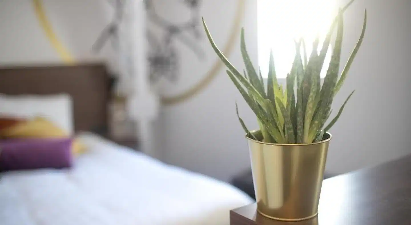 Alex Maastricht Badezimmer