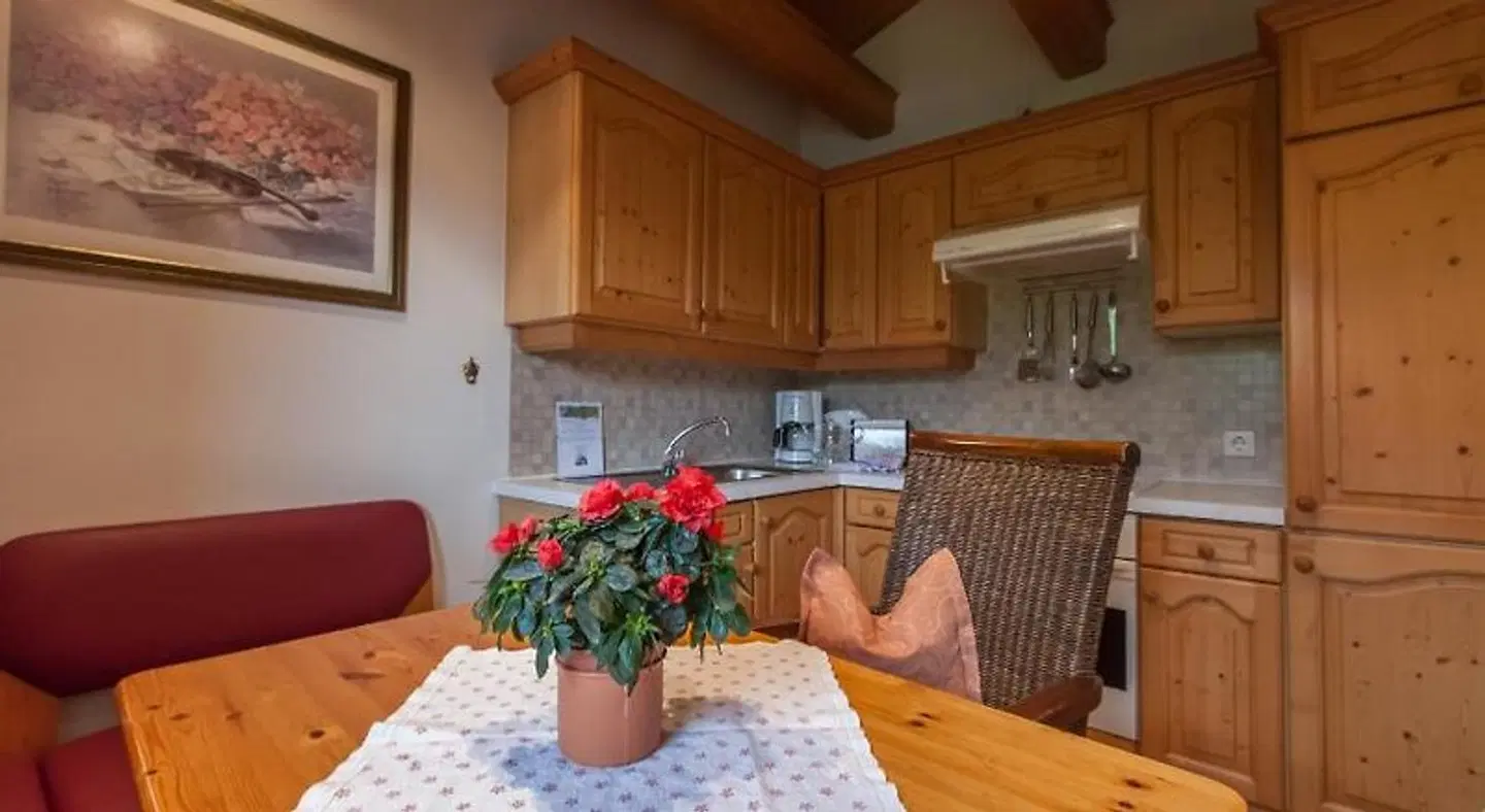 Alpbachtal Appartements ROOM_EXAMPLE