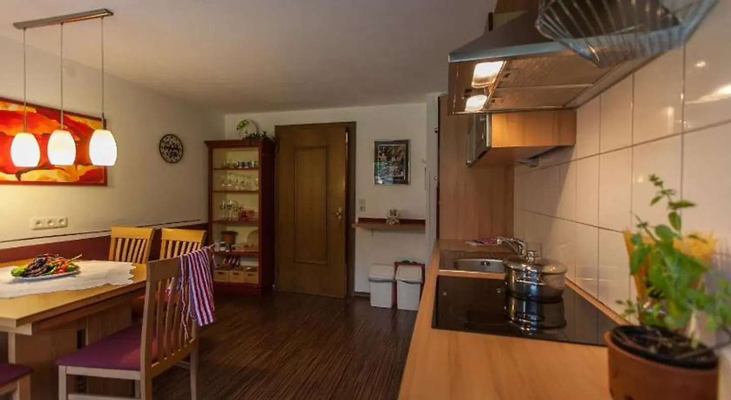 Alpbachtal Appartements ROOM_EXAMPLE