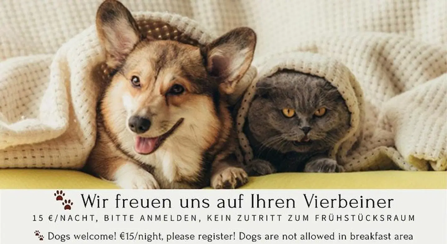 Ambient am Europakanal Tiere