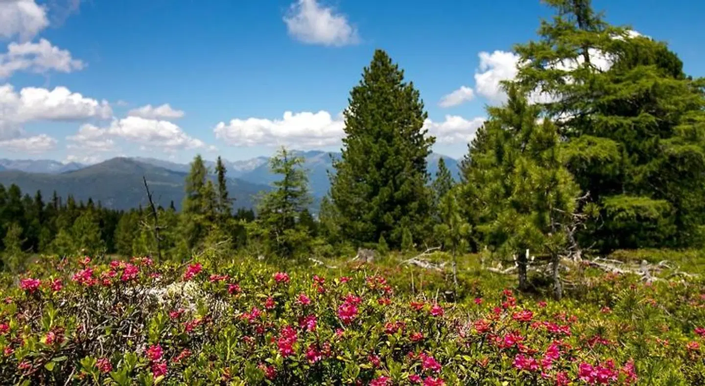 Feriendorf Murau by ALPS RESORTS LANDSCAPE