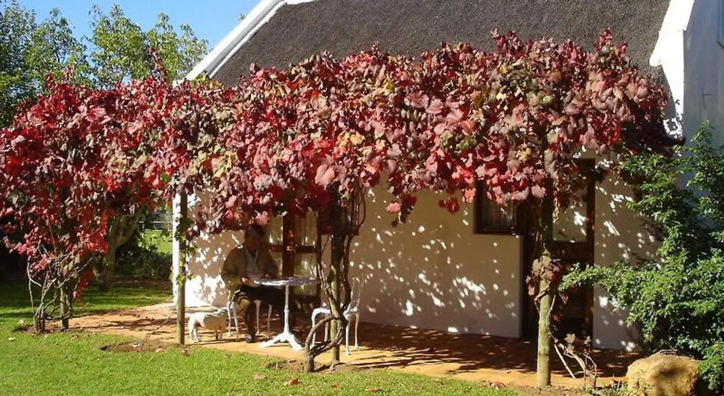 De Doornkraal Historic Country House Boutique Hotel HEALTH_BEAUTY