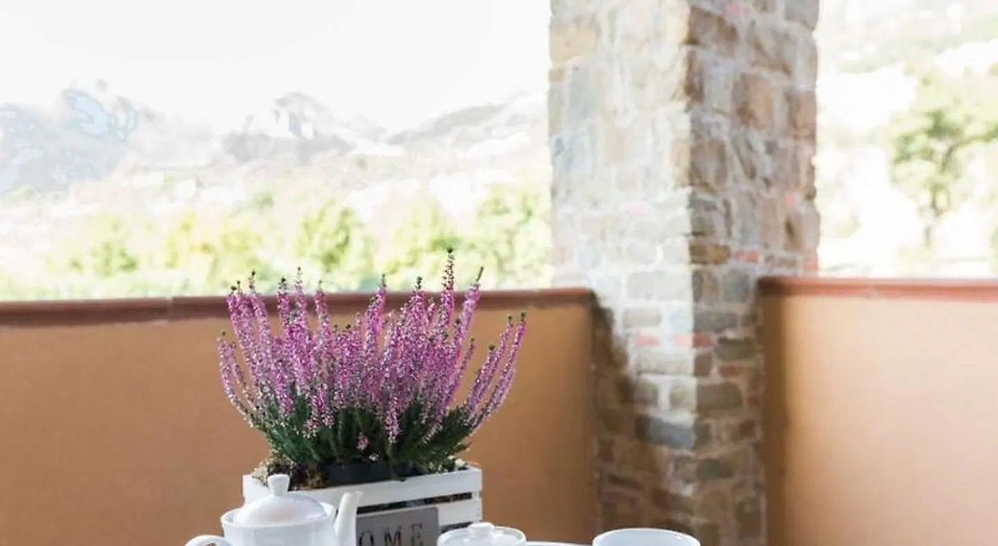 Tenuta D'Amore Terrasse