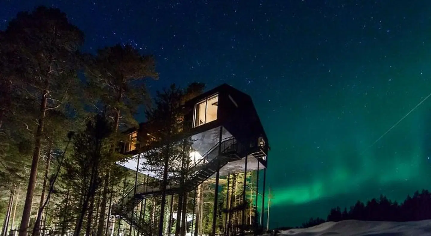Treehotel EXTERIOR