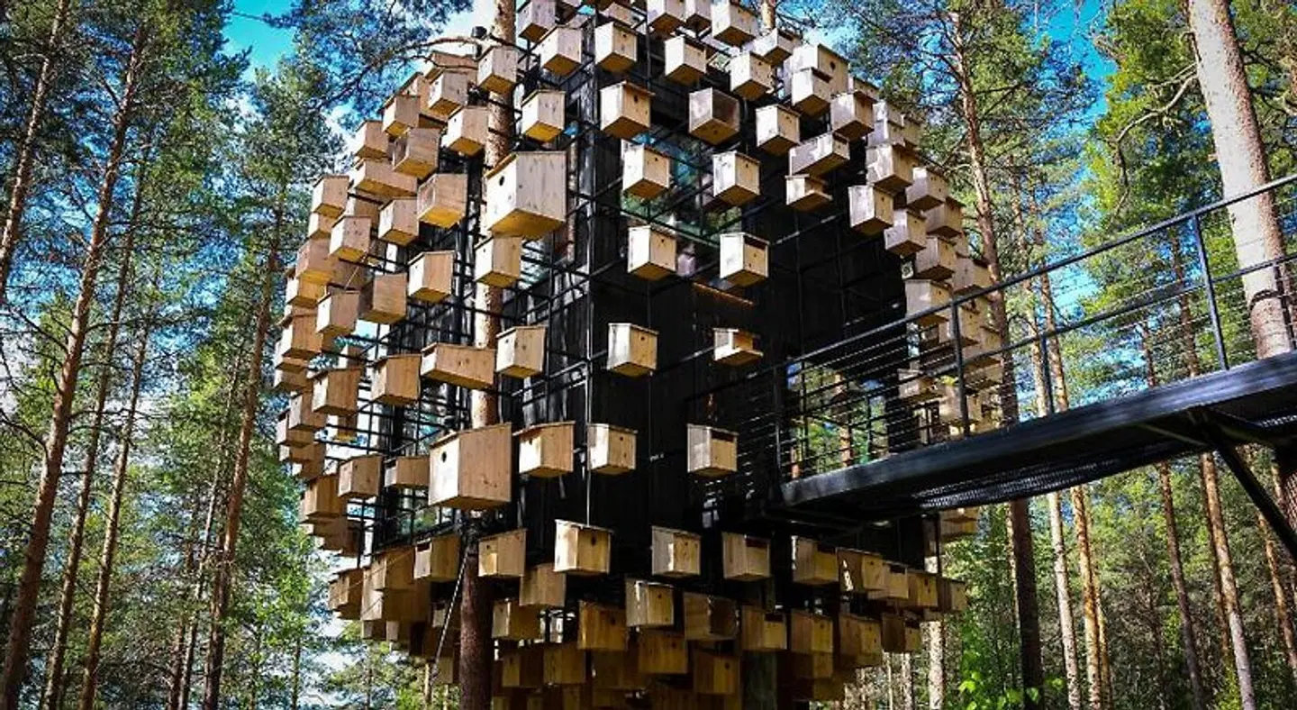 Treehotel EXTERIOR