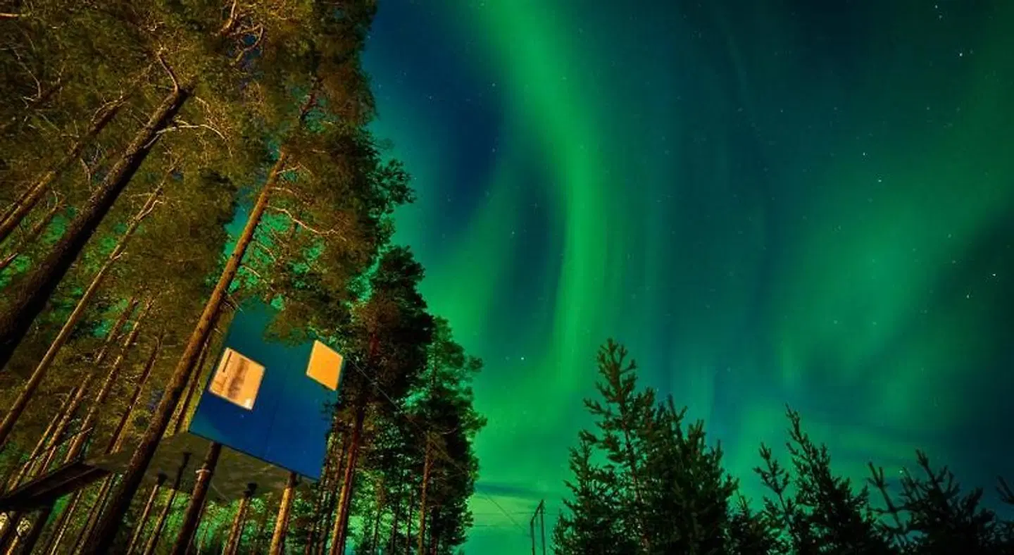 Treehotel LANDSCAPE