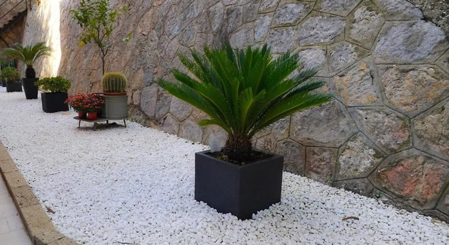 B&B Via delle 5 Terre Strand