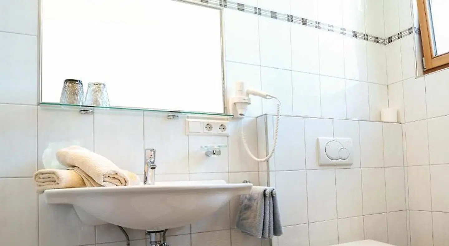 Pension Apartment Erna Badezimmer