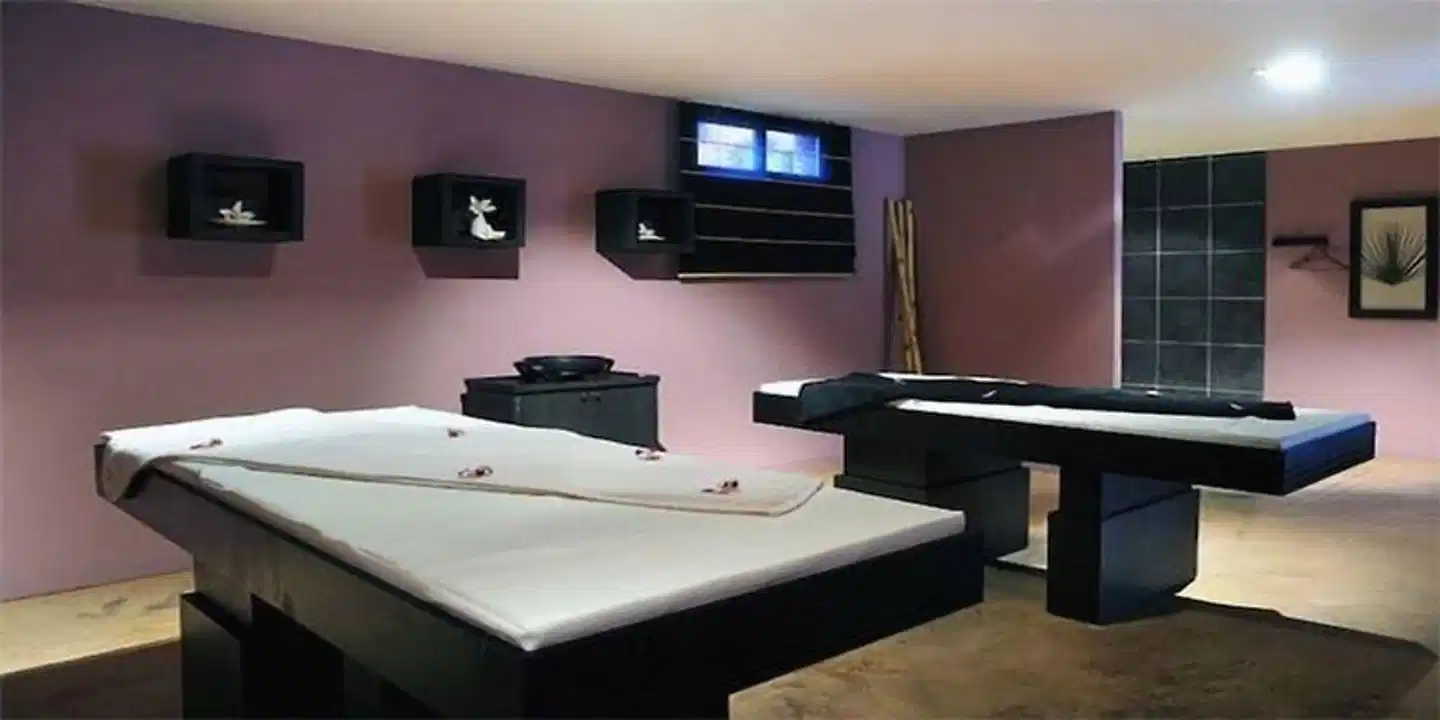 Hôtel Disini Montpellier Est, The Originals Relais Wellness