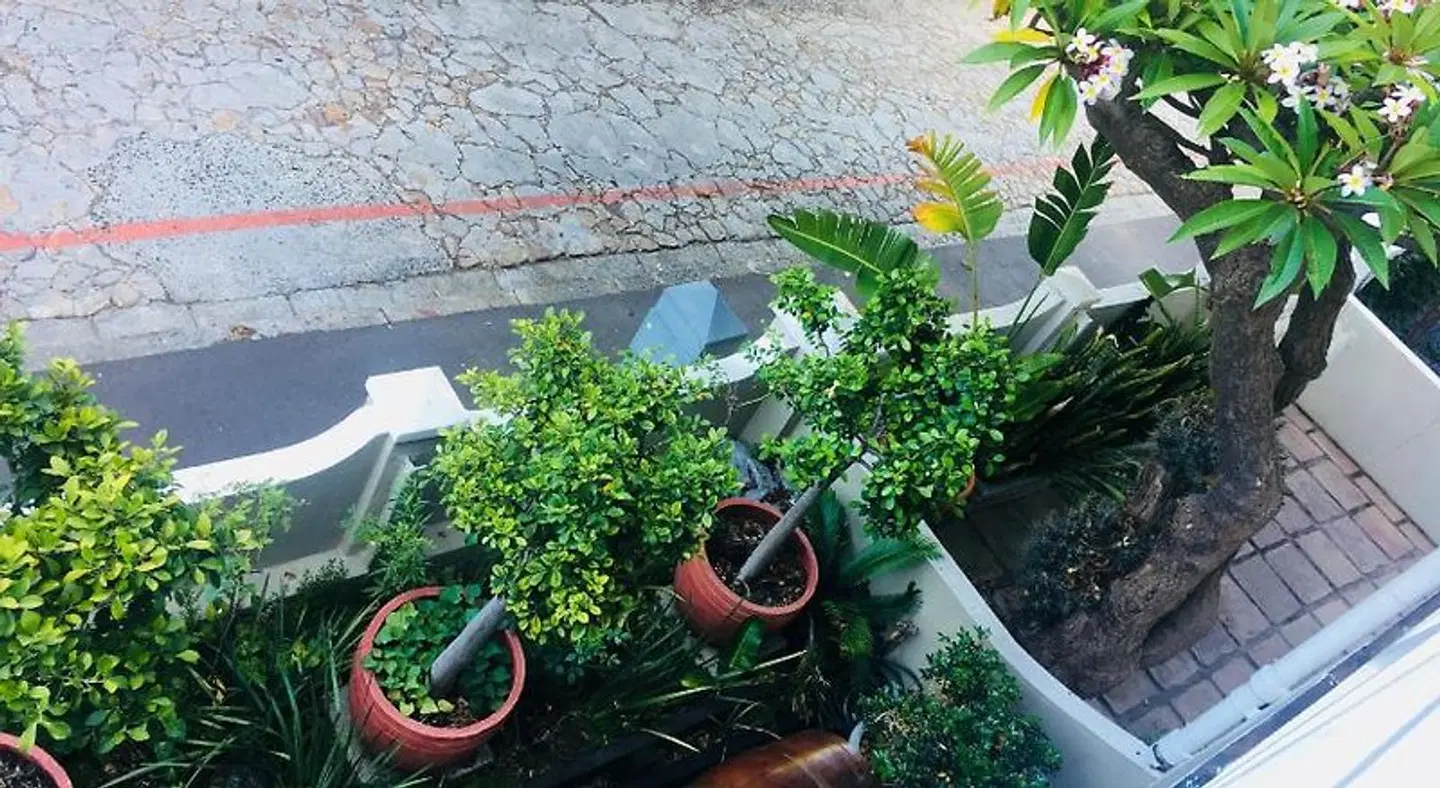 Gordons Guesthouse Garten