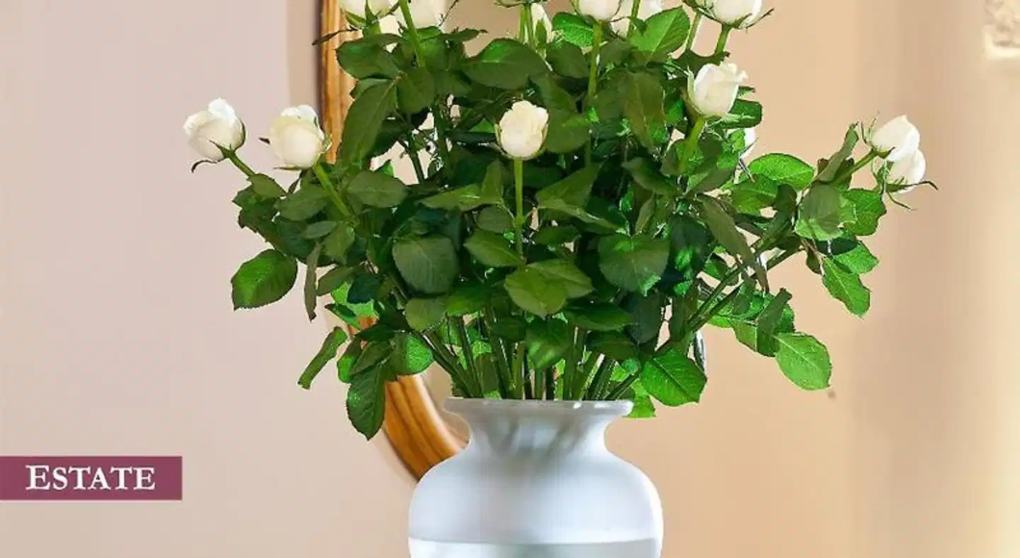 Rimondi Estate Restaurant