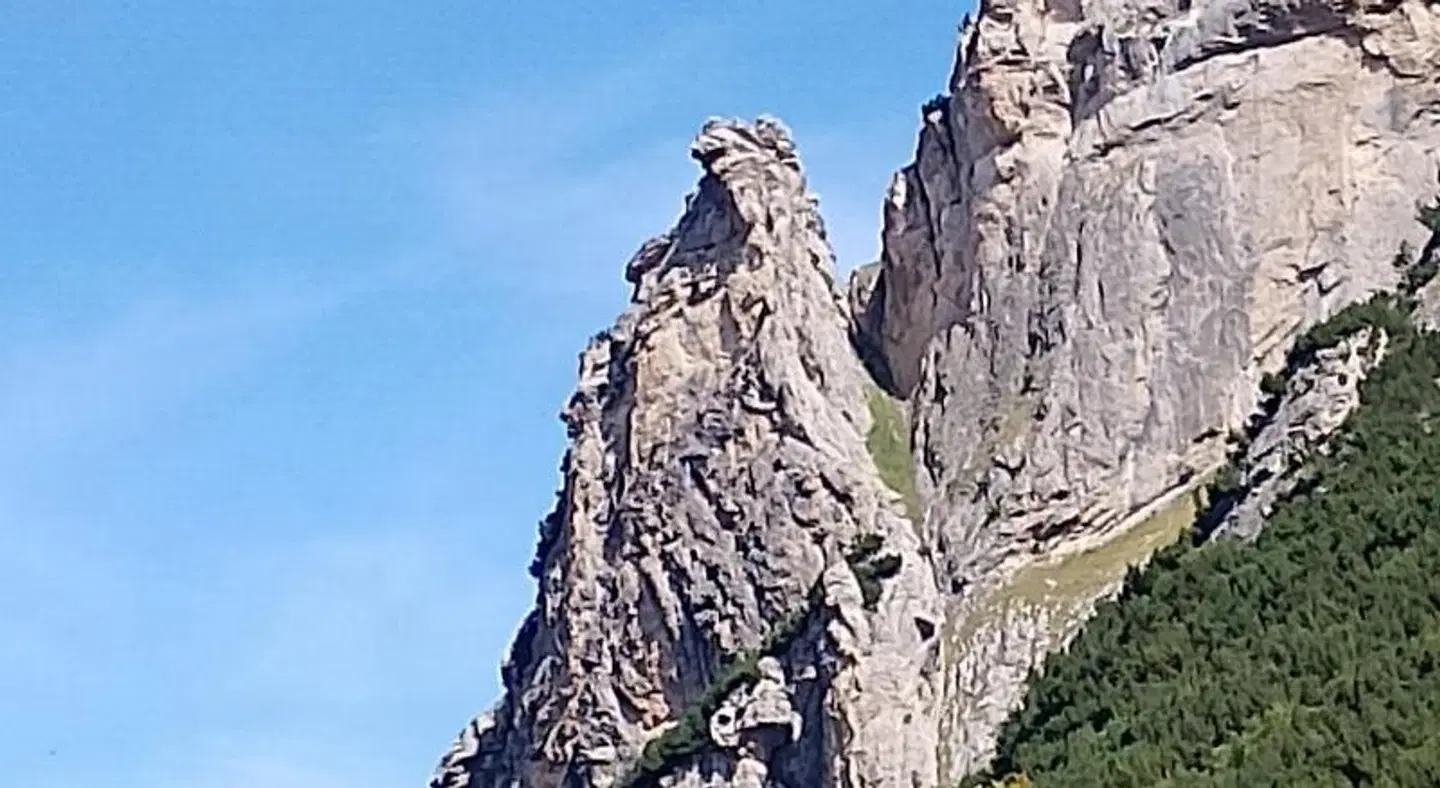 Albergo Martinet Tiere