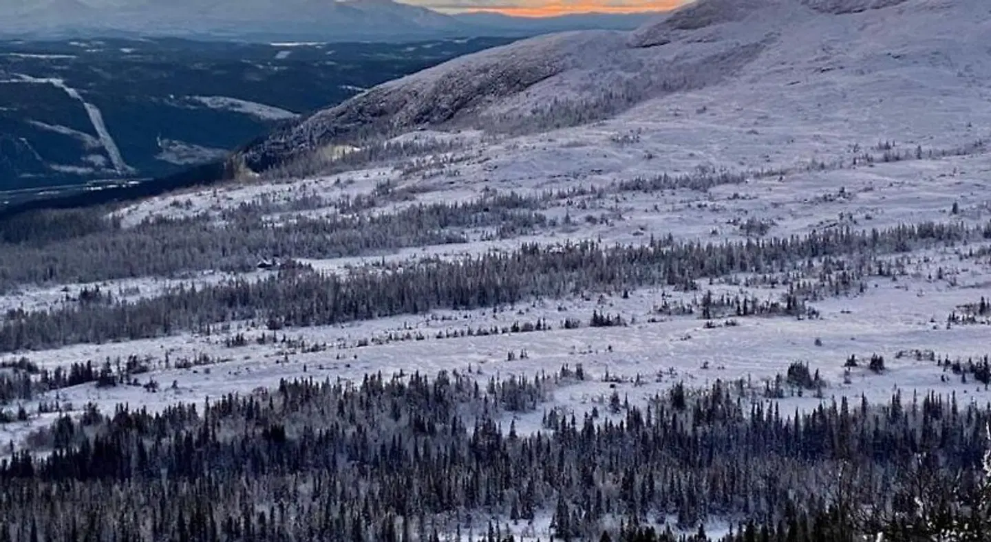Buustamons Fjällgård LANDSCAPE
