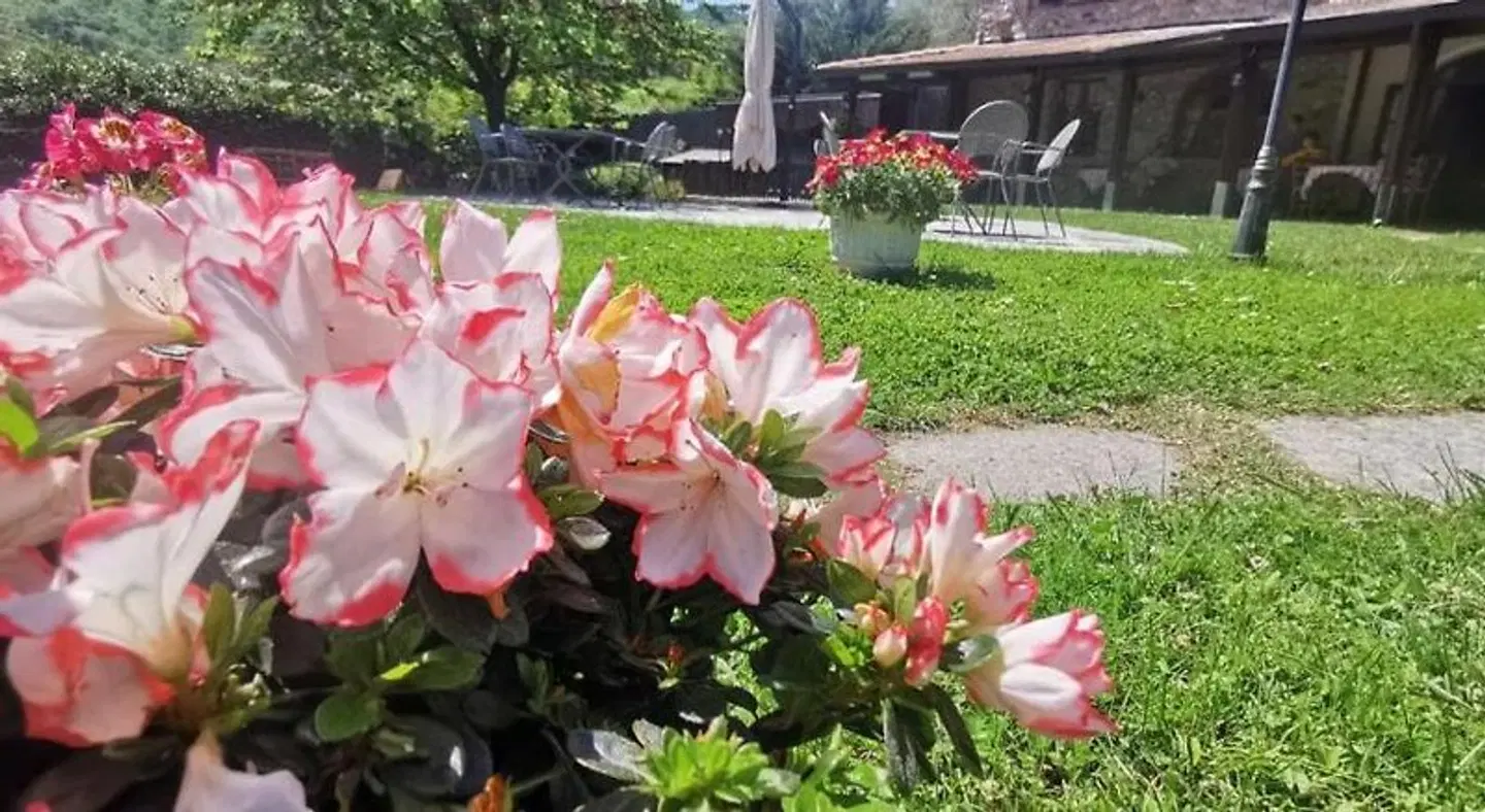 Hotel Ristorante Borgofasceo Tiere