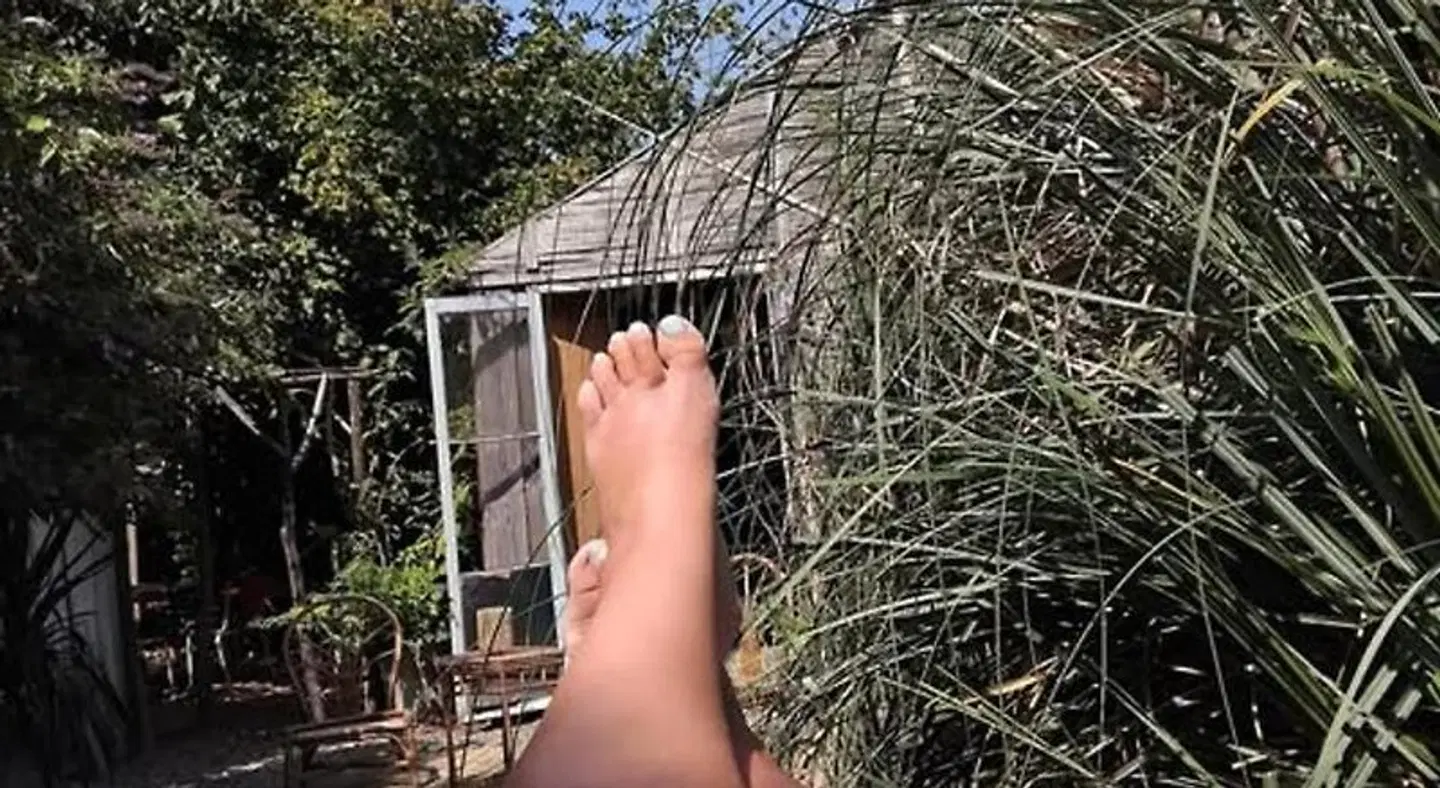 Mimi La Sardine Tiere