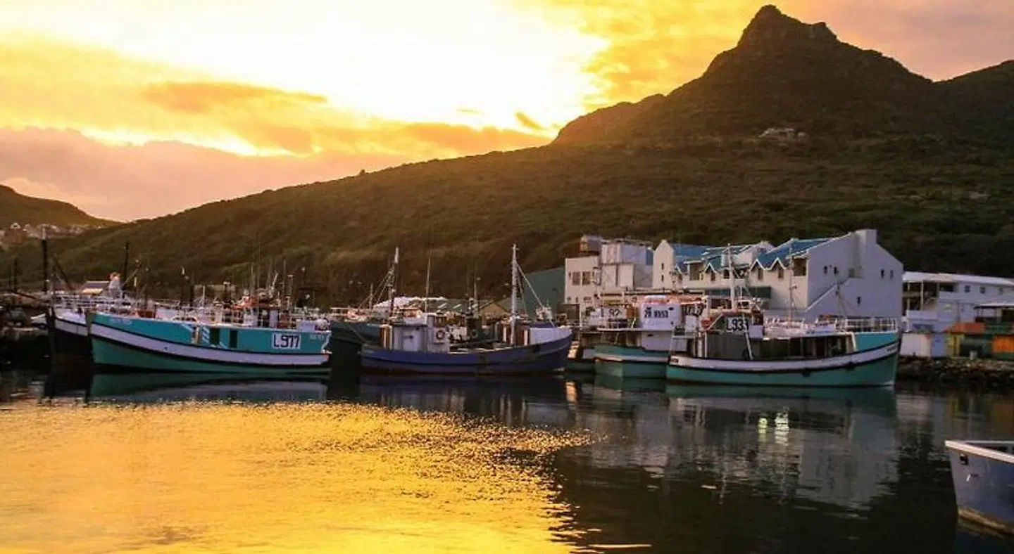 Hout Bay Breeze LANDSCAPE