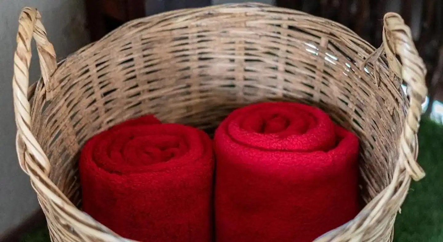 Earthbound B&B Wellness