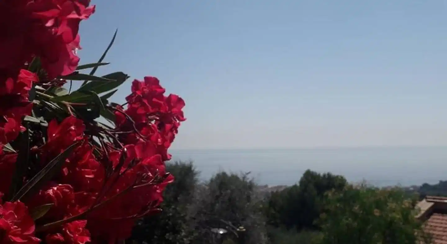 Il Porto di Benny Landschaft