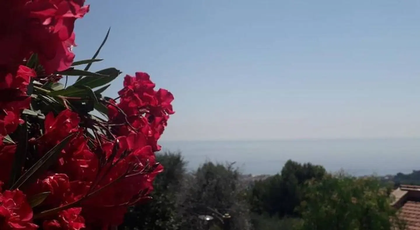 Il Porto di Benny LANDSCAPE