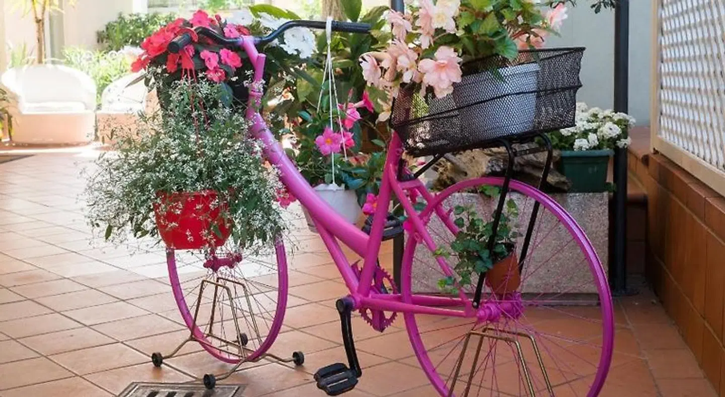 Ricchi SPORTS_AND_LEISURE