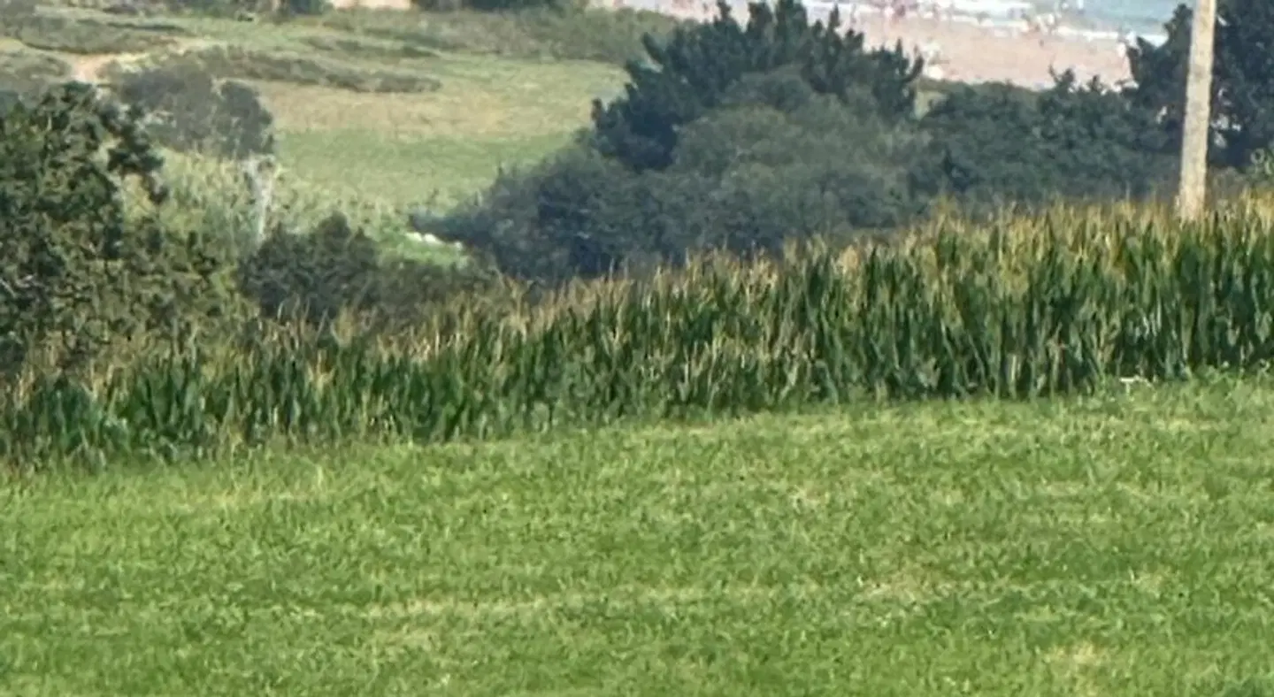 Casa Albertino LANDSCAPE