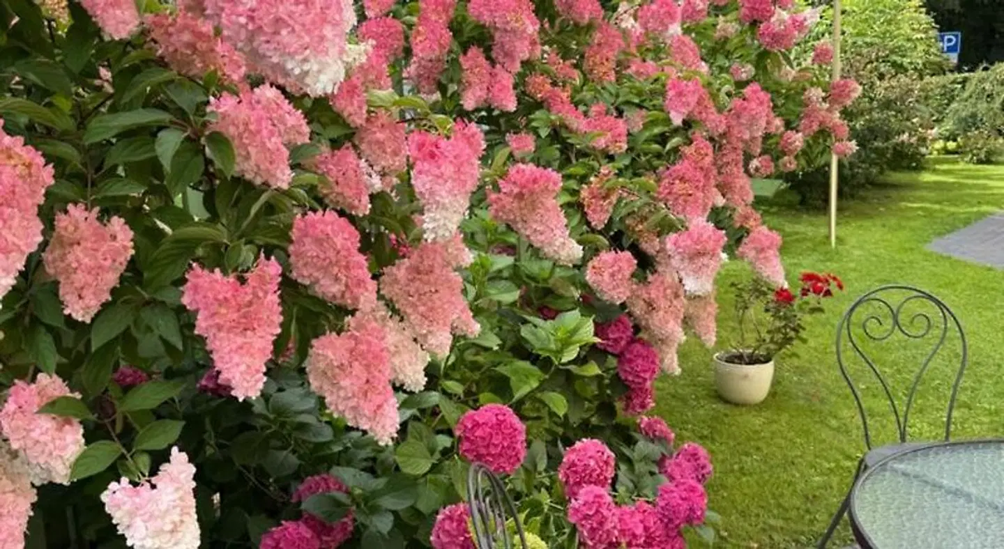 Rest in Palanga Garten